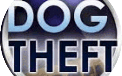 Dog Theft Awareness